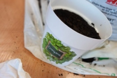 336665212_958092798686157_5138205082246520681_n