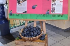 306930080_569401831645838_495639989255257645_n