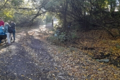 311271242_470793758156447_6267161830569557636_n