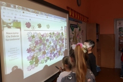 159647052_345610323452715_8674347331685761808_n