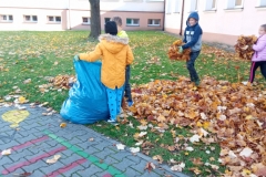 IMG_20211025_140528