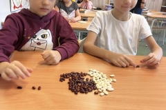 310654278_586326956619992_3374717389223440416_n