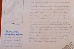 received_236441284323119