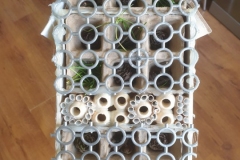 1620312878415448743515399405386