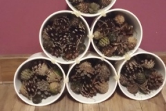 1620917911936479365940131607366