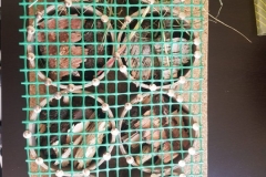 IMG-20210428-WA0002