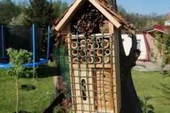 IMG-20210512-WA0000