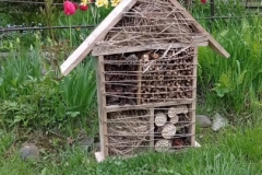 IMG_20210513_183613-1