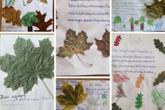 Projekt-bez-tytulu-6