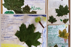 Projekt-bez-tytulu-7