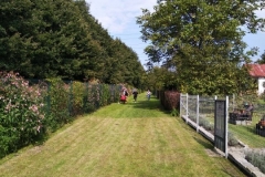 120498542_635517753833539_1716787784109822107_n