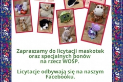 WOŚP ramka na licytacje - 18
