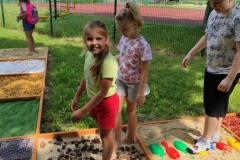 211993542_993012848131090_6328479081979498099_n