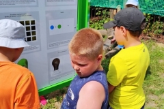 212452975_407445960519247_6845775249919766695_n