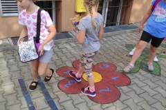 212462808_497034221357511_4377895010285359004_n