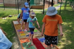 212671293_930410337804526_4922785188500611781_n