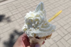 210224540_335006364730968_6592393266952894209_n