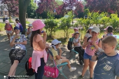 213312742_1265310577219466_5746352498127245184_n