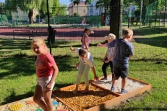 213312742_537986590576135_2007809876516763780_n