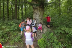 202231820_402024921197162_639989492503180857_n