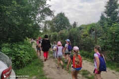 210022996_1421452398229611_3475987255135023261_n