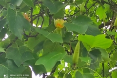 211380253_337024378000702_3228208875217504117_n