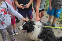 211422439_1435920963467200_1960043512374527587_n