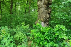 213631296_836005717289820_5266632126328577514_n