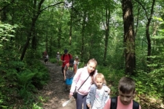 214159318_1720221145032289_2420631913073317339_n