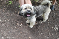 214202844_848643109396679_6819755901682064923_n