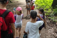 214202855_866267120979054_1858056968344828615_n