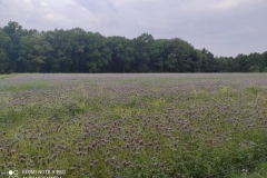 214318763_4082340105219451_2116461313871468585_n