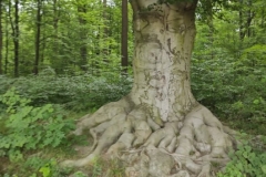 214612150_838814387014744_4108936443178006135_n