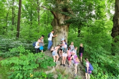 214676864_403607380991772_3365375456064371512_n