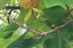 215588416_1008576346346584_3036108747215222341_n